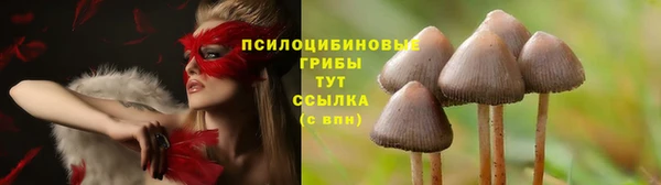 mdma Кинешма
